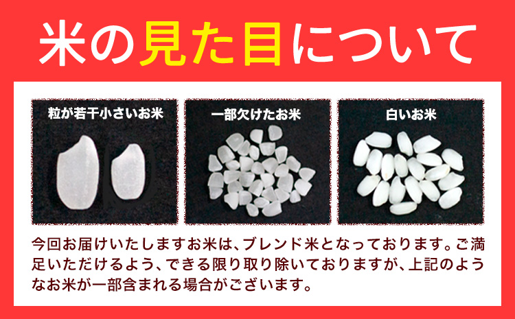 【6ヶ月定期便】応援米 星ふる米 10kg 岡山県産 白米《申し込み翌月から発送》ふるさと 岡山 岡山県 浅口市 米 送料無料 ブレンド米 白米 おにぎり米 コメ お米