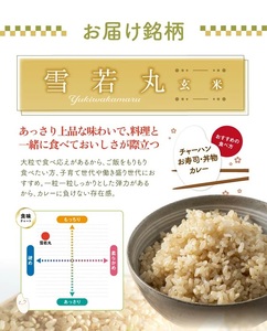 SC0631　令和7年産【玄米】雪若丸　10kg(10kg×1袋) HO
