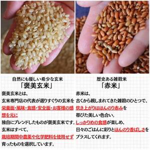 【白米に混ぜて簡単!】国産 赤米ブレンド600g(300g×2袋入り)【1632796】