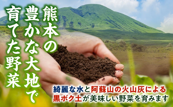 旬の野菜 おまかせ 詰め合わせ セット 8〜10品目