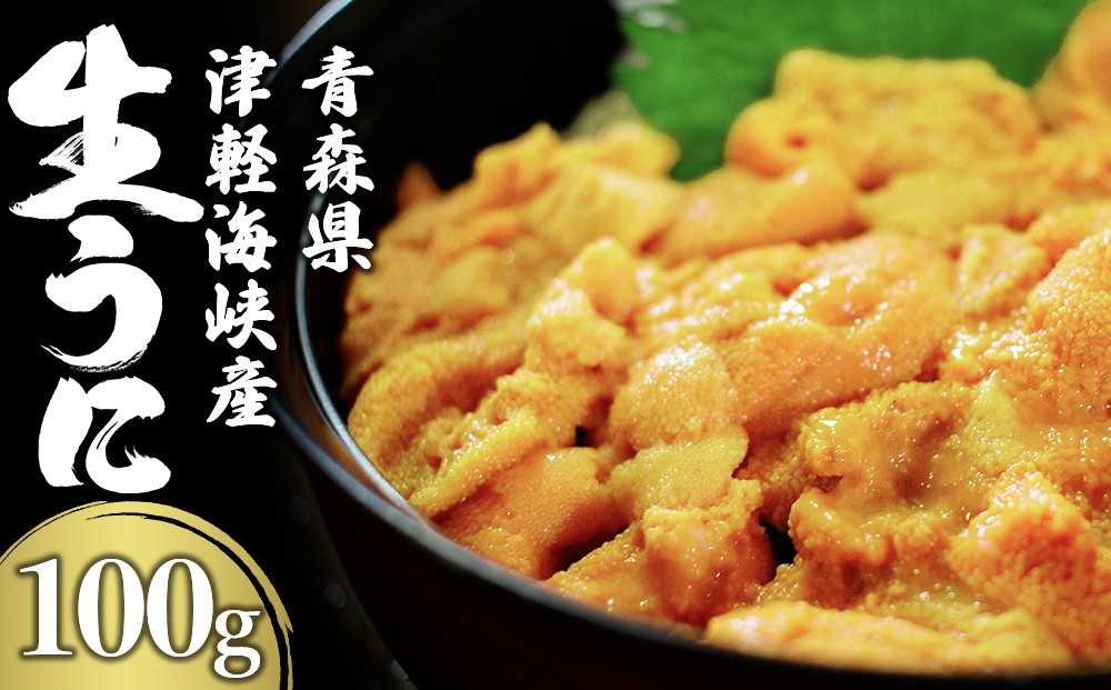 
            津軽海峡産　生うに　パック　100g×1　キタムラサキウニ　大畑漁協　
          