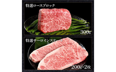 土佐和牛詰め合わせ８種Aセット