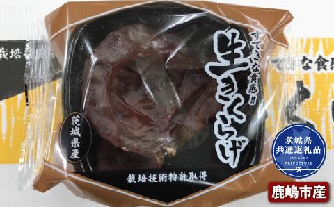 きくらげ 1パック50g×36パック 茨城県共通返礼品 鹿嶋市産 国産 生きくらげ ビタミンD 食物繊維 旬 肉厚 新食感  中華料理 炒め物 八宝菜 ラーメントッピング 栄養豊富 きくらげ キクラゲ