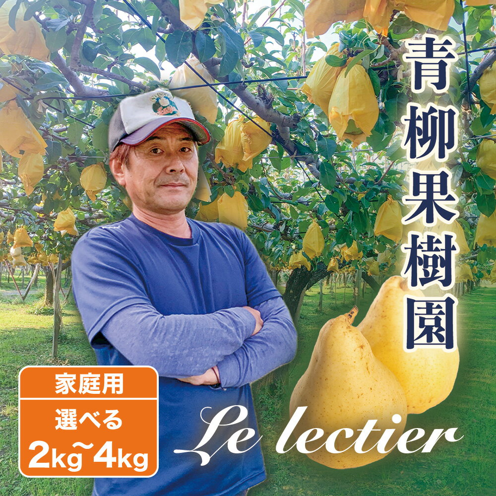 【ふるさと納税】【2026年先行予約】新潟特産 幻の洋梨ル・レクチェ 家庭用 「2kg」or「3kg」or「4kg」〈11月下旬〜順次出荷〉 ルレクチェ ル・レクチエ ルレクチエ 果物 フルーツ 冬の味覚 産地直送加茂市 青柳果樹園