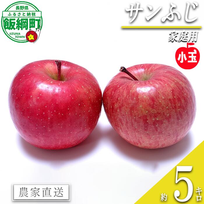 【ふるさと納税】 りんご サンふじ 小玉 5kg 家庭用 一里山農園 沖縄県への配送不可 〔 果物 フルーツ 林檎 長野 予約 農家直送 5キロ 12000円 〕【令和7年度収穫分】 発送：2025年12月上旬〜