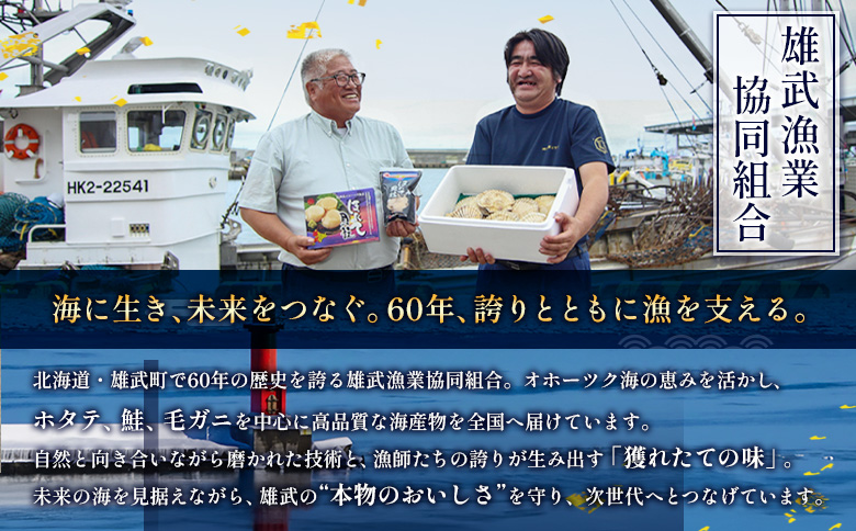北海道雄武町産ほたて貝柱5S 1kg（冷凍）【0711803】