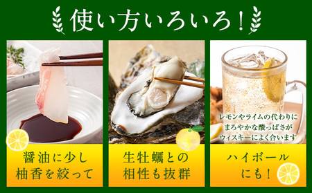 ＜ 予約受付開始 ＞ 訳あり 完熟柚香 ゆこう 約5kg シシトトラ《11月中旬-12月下旬頃出荷》 │ 柑橘 家庭用 柑橘 訳あり 柑橘 徳島県 柑橘 ご当地食材 レア 幻の果実 ぽん酢 加工用 柑