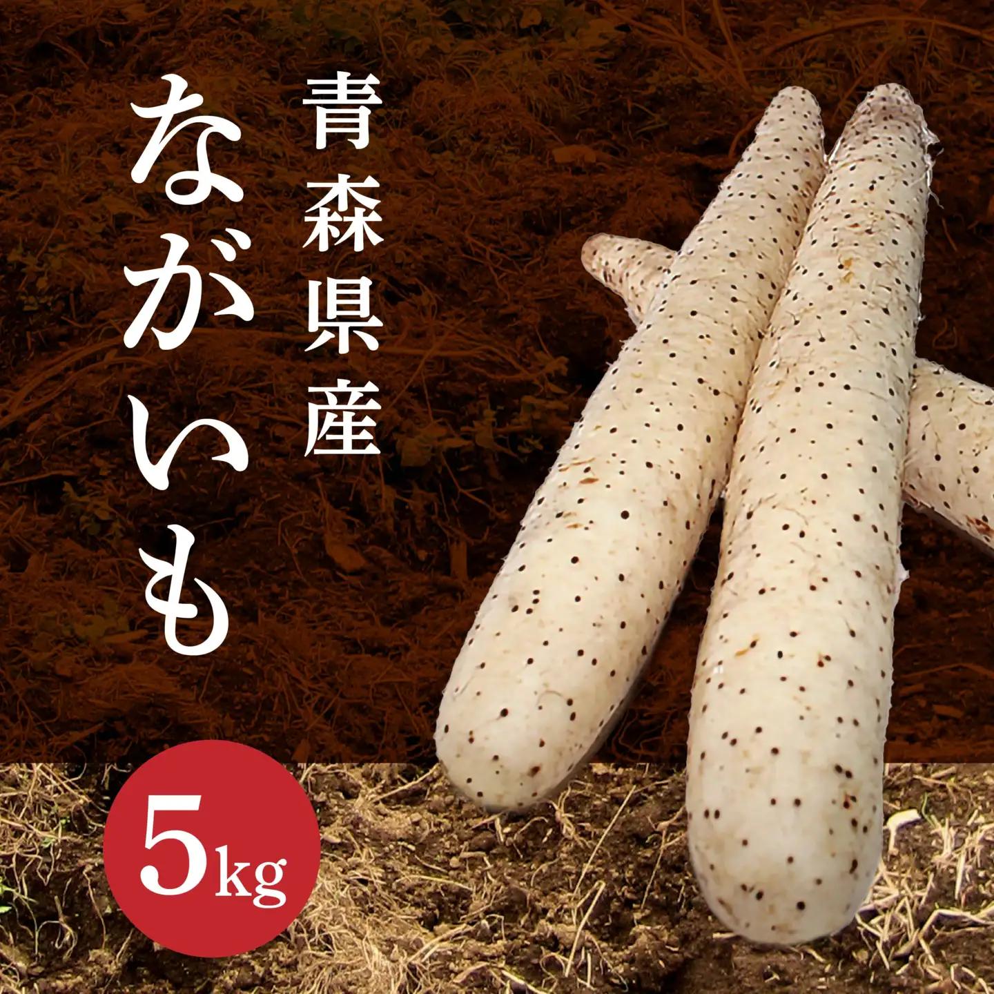 長芋 5kg ながいも 野菜　