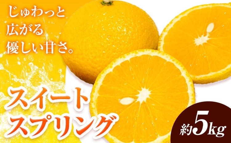 
            【先行予約】みかん スイートスプリング 5kg 高橋商店《11月下旬-2月中旬頃出荷》熊本県 苓北町 柑橘 かんきつ 果物 フルーツ 送料無料 スイート スプリング
          