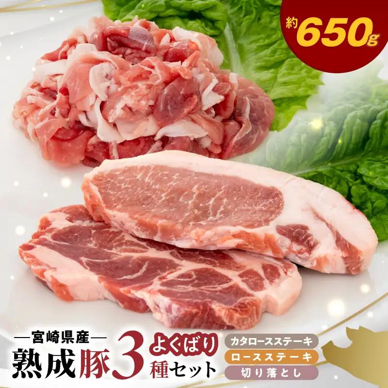 宮崎県産熟成豚 よくばり3種セットB-1（ステーキ2種 各1個/切り落とし2個）N0105-YA2285