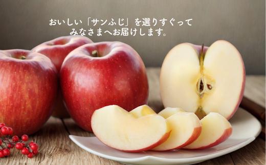 サンふじは蜜が入りやすい品種です！（全てのりんごに蜜が入るわけではありません。その年の天候により変動があります…。）
