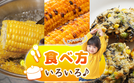 【先行予約】とうもろこし(ゴールドラッシュ ネオ) 約2.5kg（7～8本）