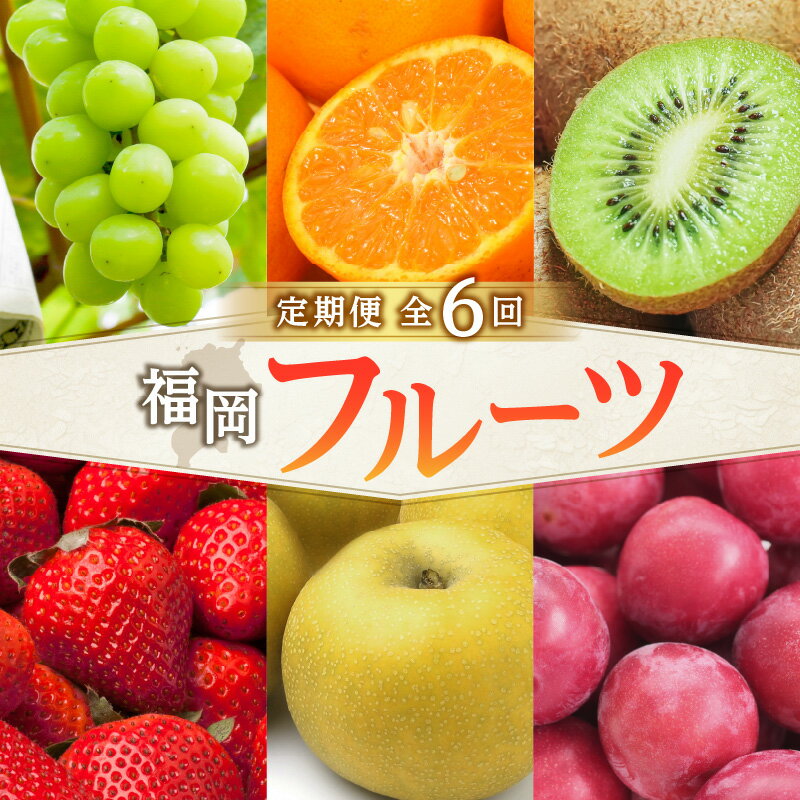 【ふるさと納税】福岡フルーツ定期便【全6回】盛りだくさん果物お届け定期便　JAふくおか八女からお届け！！ 梨 豊水 幸水 シャインマスカット みかん ミカン あまおう いちご 貴陽 すもも キウイ くだもの 人気 旬 高糖度 甘い アフター補償 数量限定 期間限定 産地直送