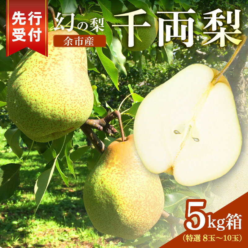 【ふるさと納税】【2025年9月下旬以降発送】千両梨 特選 5kg箱 ( 8玉 ～ 10玉 ) シャキシャキとした食感とサッパリとした甘みが特徴 季節限定 季節の味覚 23玉 北海道産 余市町産 梨 果物 フルーツ 贈り物 ギフト フルーツギフト お取り寄せ 北海道 余市町 送料無料