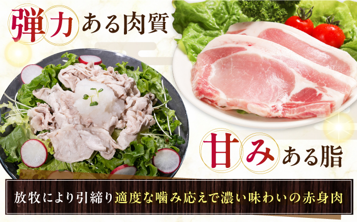 放牧豚 ロース豚丼の具 計800g（160g×5）《厚真町》【ファーマーズファクトリー株式会社】 豚肉 豚丼 モモ肉 味付き 簡単調理 丼 冷凍発送 北海道 [AXBA007]