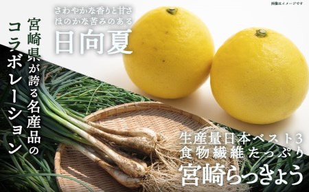 【お試し♪】日向夏らっきょう 90g×3袋≪みやこんじょ特急便≫ - らっきょう おつまみ 柑橘風味 90g×3袋 お試し (都城市)  ※ポスト投函_LA-C401-PF-Q