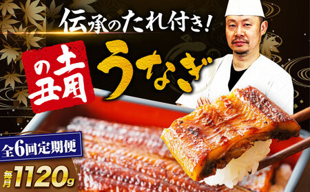 鰻 国産 定期便【全6回】 （2尾×4箱）鰻 うなぎ[AGAH024]