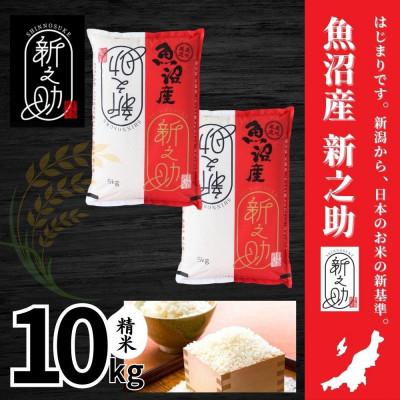 ふるさと納税 十日町市 【令和6年産】魚沼産新之助(精米)10kg