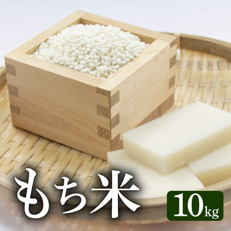 先行予約 令和8年度産 もち米 10kg