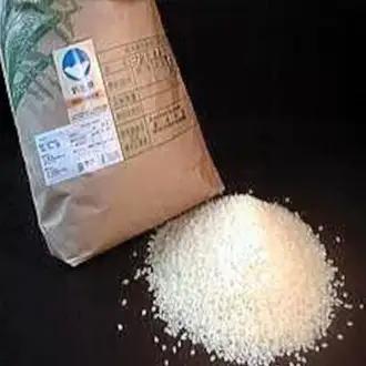 【令和7年産】【10か月定期便】特別栽培米 コシヒカリ 10kg×10回 新潟県認証 新潟県 米 こめ コメ 白米 精米 さいとう農園 1G03401
