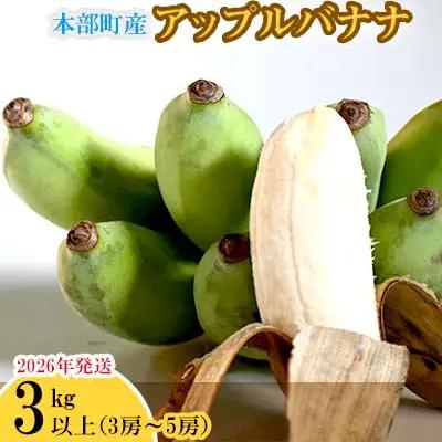 バナナ【2026年発送】本部町産アップルバナナ　3kg以上  フルーツ 