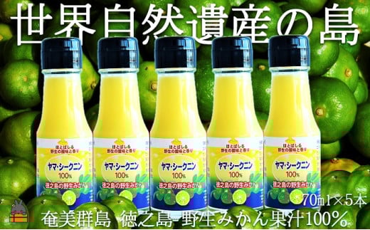 141 ～野生の島みかんの味～徳之島のヤマ・シークニン果汁（70ml×5本） ( 調味料 柑橘 果物 薬味 果汁 ドレッシング 野生みかん ジュース  ヤマシークニン みかん 奄美 鹿児島 鍋 焼き魚 料理  お酒 焼酎 酸味 美味しい ダイキチ食品 )