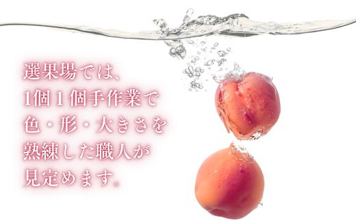 暑い夏に食べるまつかわの桃は最高です！