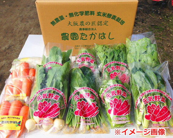 【ふるさと納税】No.024 こだわり農家の採れたて無農薬野菜セット ／ 季節野菜 やさい 安全 送料無料 大阪府