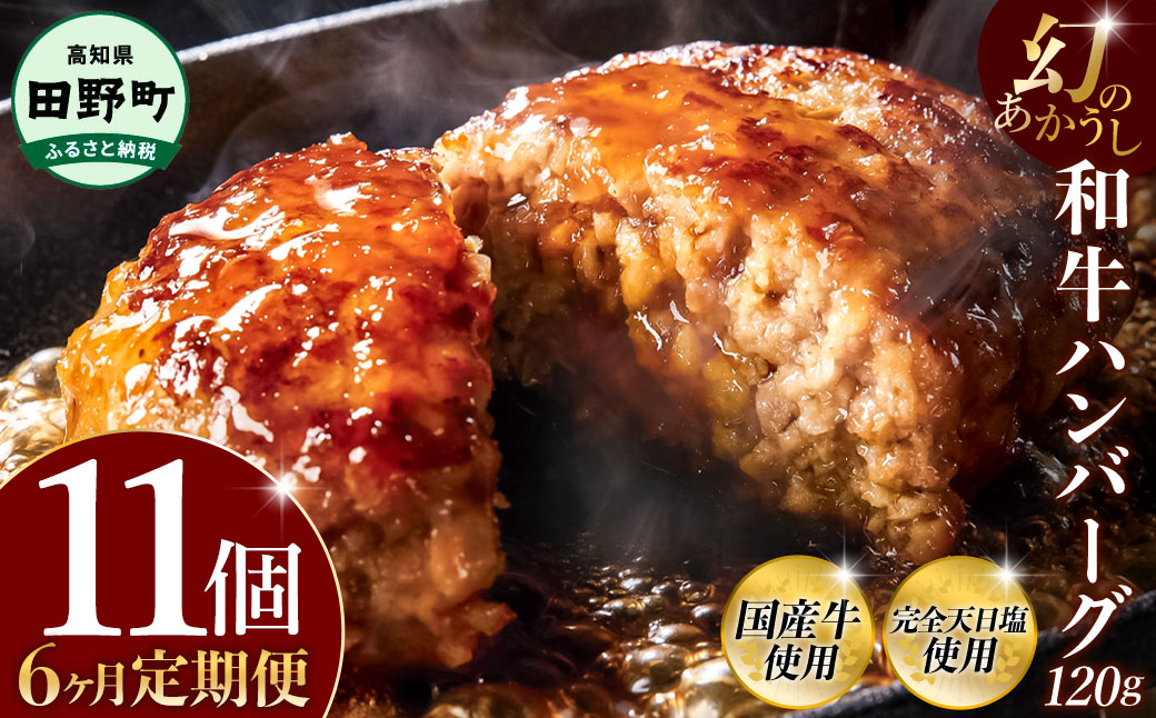 幻のあかうし和牛ハンバーグ 11個入り 6ヶ月定期便 1個120g 田野屋青蜂 白鯆 完全天日塩練り込み 肉 お肉 国産牛 土佐あかうし 四万十ポーク おかず 惣菜 おいしい お取り寄せ 冷凍 配送 高知県 田野町