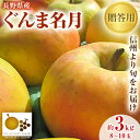 【ふるさと納税】「産地より信州中野の旬をお届け」 長野県産ぐんま名月　贈答用　約3kg_ りんご 林檎 リンゴ 名月 ぐんま名月 フルーツ 果物 ふるーつ くだもの 国産 旬 ギフト 贈答 産地直送 信州 長野 人気 品種 送料無料 産直 【1305054】