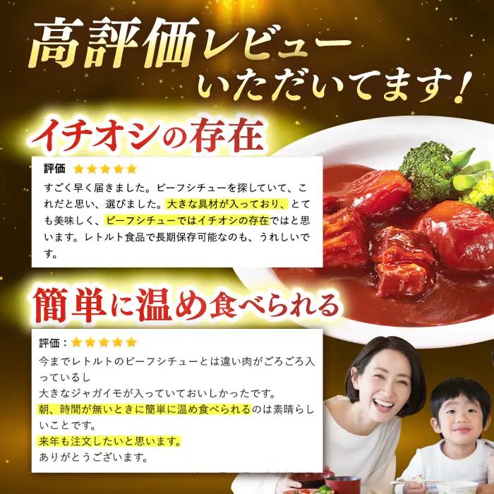 【アリアケジャパン製造】ビーフシチュー10食|シチュー[QAF009]