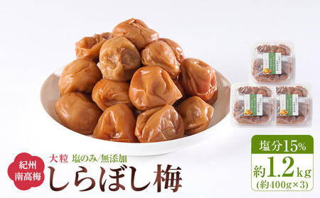 梅干し しらぼし梅 約1.2kg（約400g×3）塩のみ 無添加 大粒 紀州南高梅 塩分約15％ 和歌山県産