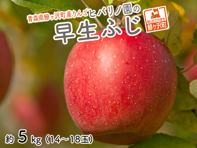 りんご 青森 早生ふじ 涼香の季節 リンゴ 約 5kg （14～18玉） 青森県 鰺ヶ沢町産 ヒバリノ園 フルーツ 果物 白神山地 林檎 ※オンライン決済のみ 