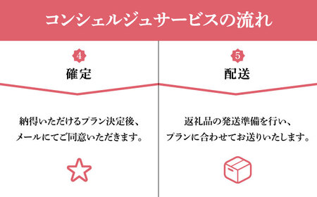 【那珂川市コンシェルジュ】返礼品おまかせ！寄附額30万円コース[GZZ022]