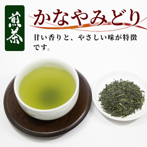 農薬不使用！煎茶 かなやみどり 100g 常磐園 美濃白川茶 日本茶 緑茶 茶葉 