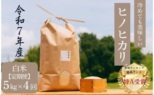 【定期便】 新米 ヒノヒカリ 【白米】 5kg×4回コース 令和7年産 冷めても美味しい 米 お米 ごはん ご飯 ブランド米 ひのひかり 5kg おおのファーム 2025年度産 奈良県 奈良市 90-006