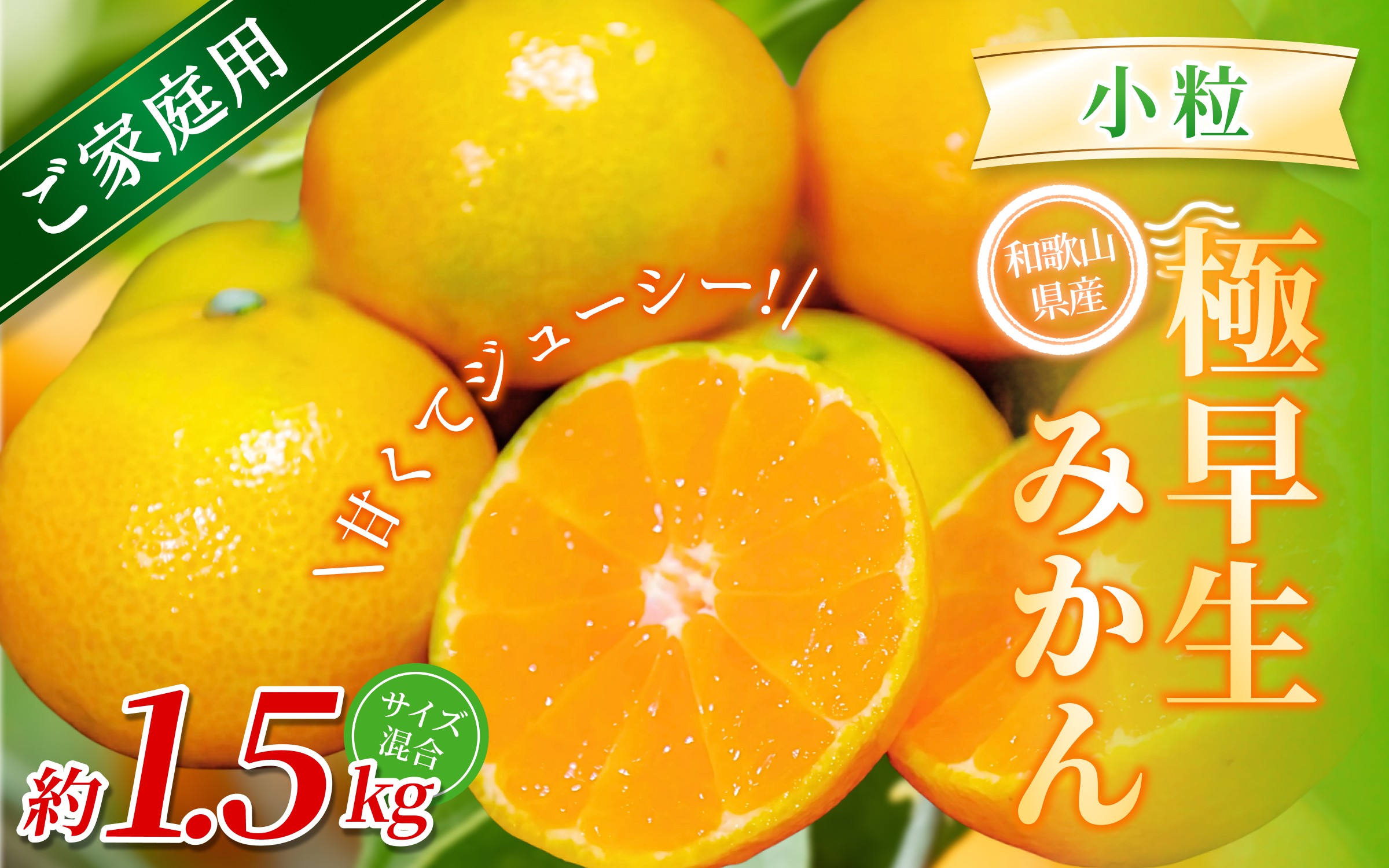 
                  【訳あり・ご家庭用】 森本農園の手選別 極早生小粒みかん 約1.5kg 和歌山県産 【北海道・沖縄・離島配送不可】【2025年10月上旬～下旬頃に順次発送】【BV-mrmt051】
                