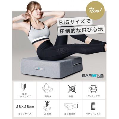 ふるさと納税 館林市 ぽんちゃん トランポリンクッション (パウダーブルー) 58cm×58cm 高反発 室内用 |  | 01