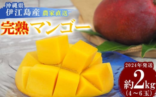 
【2024年発送】沖縄県伊江島産　農家直送「完熟マンゴー」約2kg(4～6玉)
