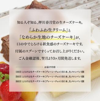 【定期便】とろける生チーズケーキ（プレーン・チョコ）+メロンパン ３ヶ月定期便【スイーツ ケーキ チーズケーキ チョコ 洋菓子 おまけつき お菓子 お菓子 全3回】