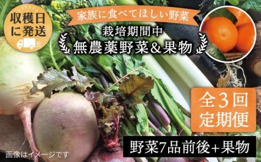 【 全3回 定期便 】 こだわり 野菜  ( 7品 前後 ) セット ＋ 果物 《糸島》【オーガニックナガミツファーム】 	[AGE007]