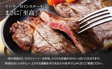 葉山牛サーロインステーキ黒毛和牛冨士屋牛肉店葉山牛【約250g×2枚】