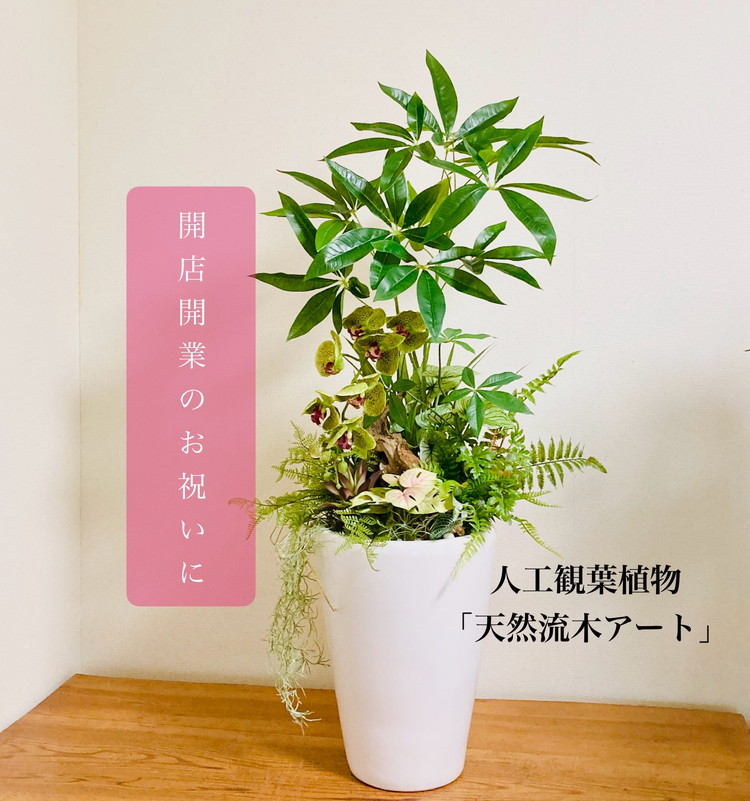 人工観葉植物 天然流木アート『パキラ/陶器』 ※北海道・沖縄・離島への配送不可