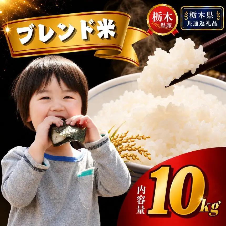 栃木県産 ブレンド米（10kg）【栃木県共通返礼品 栃木県産】AB | 栃木県 下野市