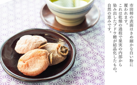 TS02-25A 南信州産 市田柿 2Lサイズ 800g（ご家庭用大袋）//長野県 南信州 干し柿 市田柿 高糖度 ドライフルーツ 家庭用 自宅用 大袋 大粒 2Lサイズ