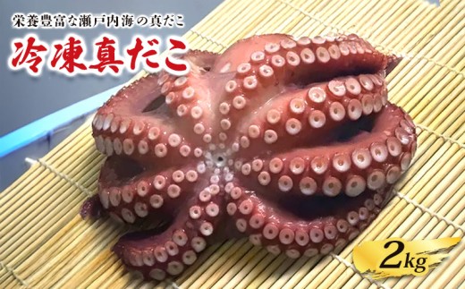 冷凍真だこ 約2kg 海鮮 海産物 お取り寄せ 人気 蛸 たこ マダコ 真ダコ タコ冷凍 クール 生 刺身 漁師 瀬戸内海 活たこ 素潜り タコつぼ 歯ごたえ 解凍 お刺身 瀬戸内 瀬戸内海沖 瀬戸内海 香川県 丸亀市