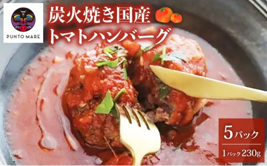 炭焼き国産ハンバーグ(トマトソース)230g×5個