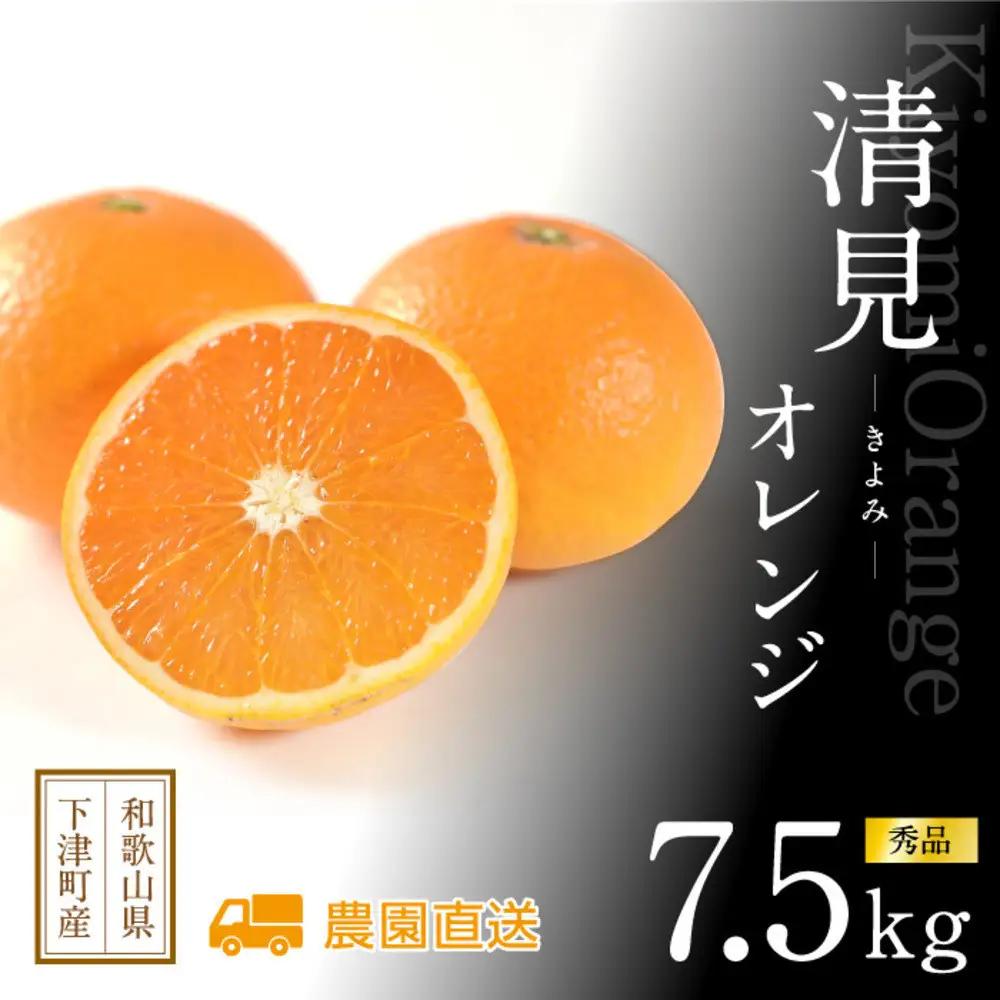 厳選 清見オレンジ 赤秀 7.5kg ｜清見オレンジ