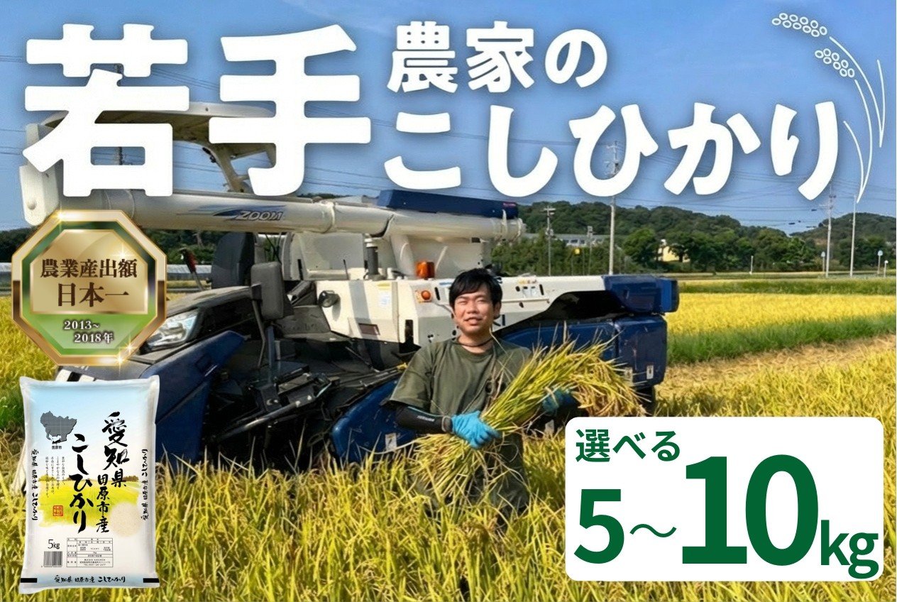 
                  《令和8年産 新米》若手農家のこしひかり 5kg 10kg 選べる お米 おこめ 米 コメ ごはん コシヒカリ ご飯 ブランド米 精米 令和8年 2026年 令和7年産 売り切れ 米 備蓄米 よりおいしい 愛知県 田原市 渥美半島 人気 先行予約 令和7年産 12000円 KASUKEN
                