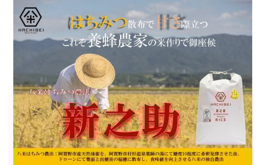 【令和7年産新米予約】【グッドライフアワード環境大臣賞受賞】 6ヶ月定期便 無洗米 新之助 5kg×6回 計30kg 農家直送 ほんのり甘い「はちみつ農法」 白米 精米 HACHIBEI 八米 10月中旬より順次発送予定 1L21073